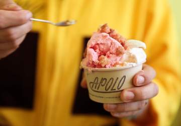 Apolo: la heladería 100% vegana y de estilo retrofuturista que abrió en Providencia