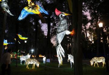 Fesiluz Las Condes se extiende y el Parque Santa Rosa de Apoquindo sigue iluminado