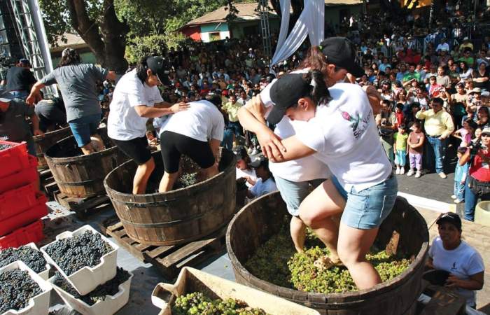Fiesta de la Vendimia de Colchagua vuelve a Santa Cruz y con entrada gratis