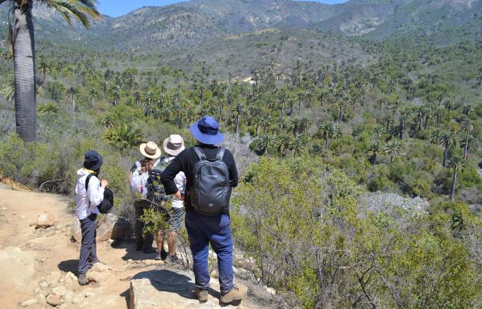 Rutas del Conocimiento: tecnología, trekking y naturaleza en el Parque Nacional La Campana