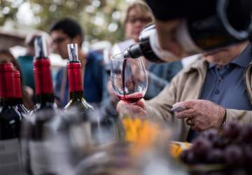 Vendimia Fest: la fiesta vitivinícola que este finde se toma barrio Italia
