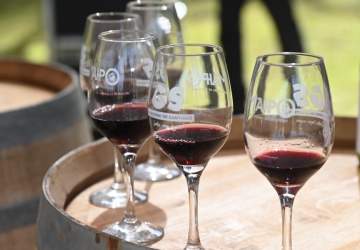 El Día del Vino tendrá por primera vez una fiesta gratuita en pleno centro de Santiago