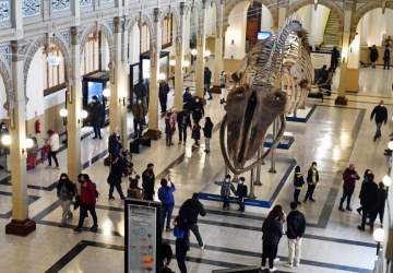 19 museos con entrada gratis para visitar en Santiago todo el año