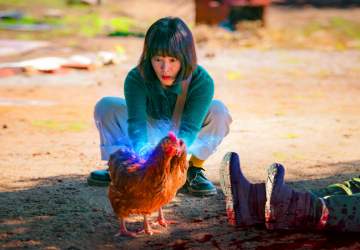 Con tacto especial: la comedia coreana de Netflix donde una veterinaria adquiere un don inusual