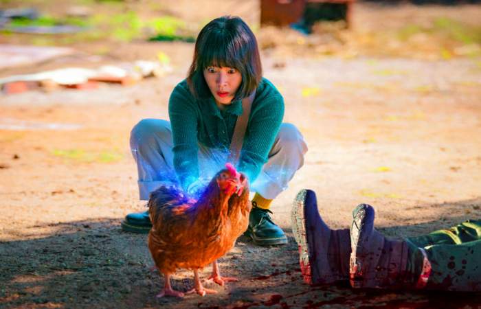 Con tacto especial: la comedia coreana de Netflix donde una veterinaria adquiere un don inusual