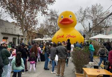 El pato de goma gigante vuelve a barrio Italia este fin de semana largo