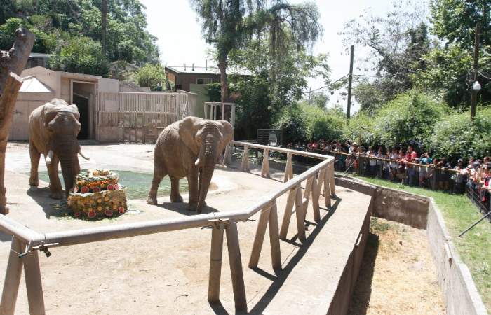 Una buena noticia: desde este mes el Zoológico del Parque Metropolitano será gratis para todos