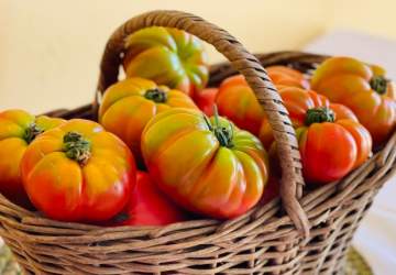 Fiesta del Tomate en Limache: el encuentro costumbrista al que puedes llegar en tren de época