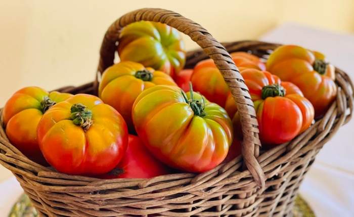 Fiesta del Tomate en Limache: el encuentro costumbrista al que puedes llegar en tren de época