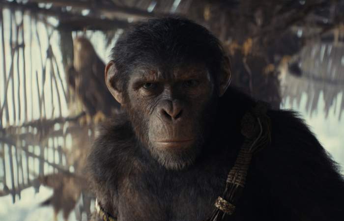 El planeta de los simios: nuevo reino, la nueva y eficaz película sobre el mundo con primates inteligentes