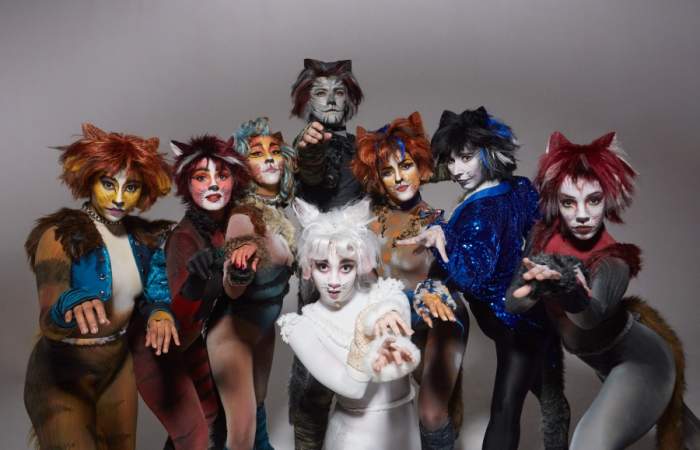 Cats: el musical suma nueva función en Santiago tras éxito de venta