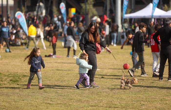 Mas de 40 entretenidos panoramas para hacer con niños y niñas esta primavera