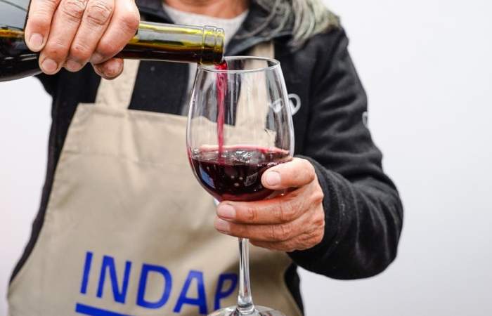 Una fiesta gratuita del Día del Vino en Plaza Ñuñoa trae lo mejor del campo