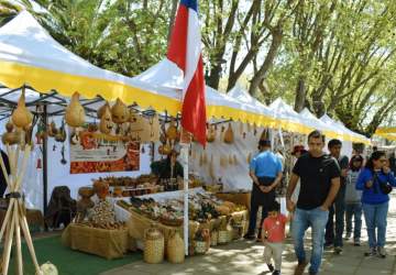 Expo Miel 2024: una dulce fiesta costumbrista gratuita a 40 minutos de Santiago