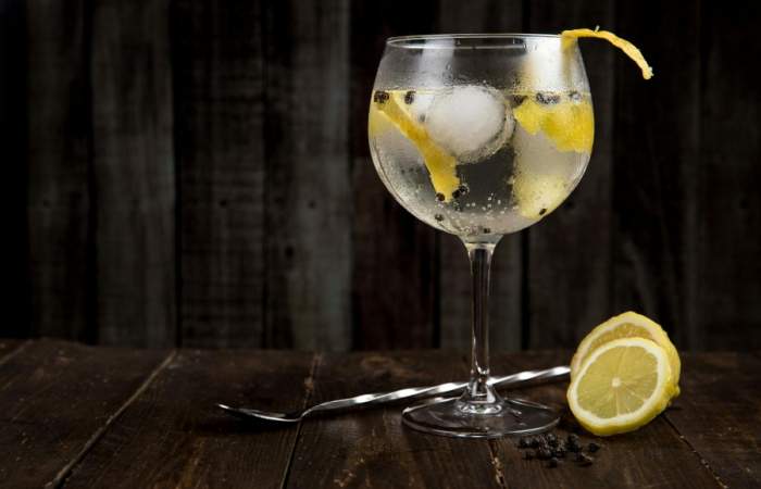 El gin tonic más grande del mundo se hará en Chile: tendrá 1.200 litros y busca romper récord