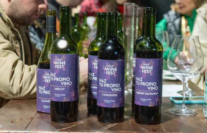 Chile Wine Fest 2024: la fiesta en el Parque Bicentenario con degustación ilimitada de vinos premium