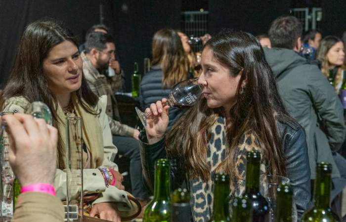 Chile Wine Fest 2024: la fiesta en el Parque Bicentenario con degustación ilimitada de vinos premium