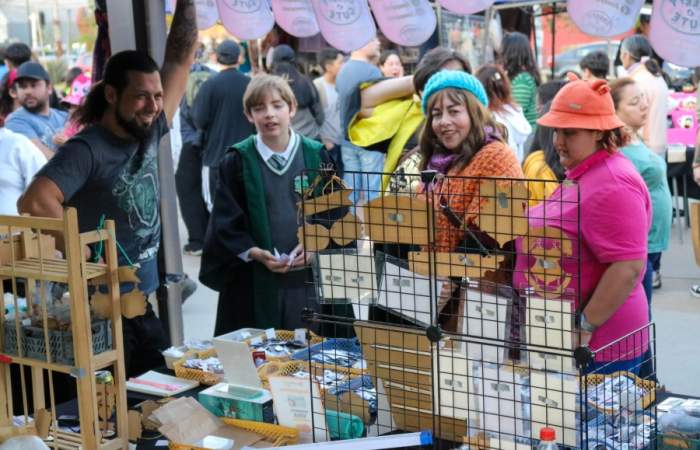 Potterfest: el festival de Harry Potter vuelve al Parque El Llano este fin de semana