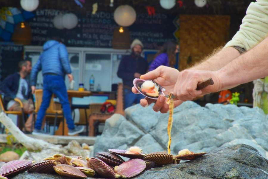 Cocinas del Pacífico: el festival de gastronomía que se realiza en unas de las mejores playas de Chile