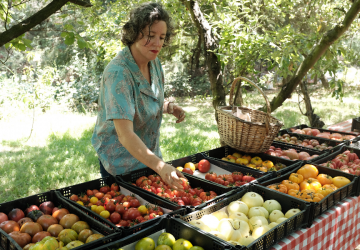 Día del Tomate: la deliciosa fiesta para cerrar el verano en el MUT