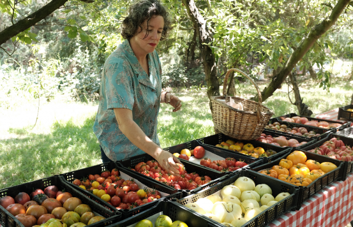 Día del Tomate: la deliciosa fiesta para cerrar el verano en el MUT