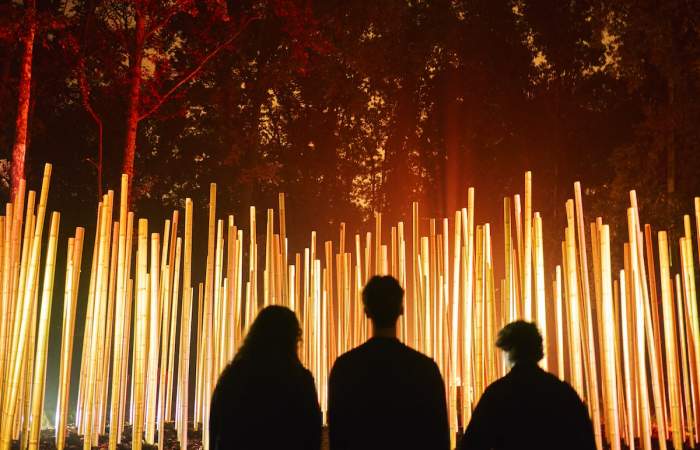 Light Cycles Santiago: una experiencia inmersiva y nocturna en el San Cristóbal